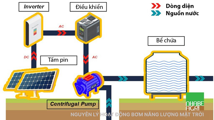 Cách ứng dụng bơm năng lượng mặt trời trong nuôi trồng thủy sản hiệu quả
